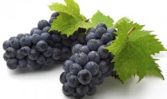 吃葡萄籽保健品有什么好處和壞處和副作用(女生長期吃葡萄籽好嗎)