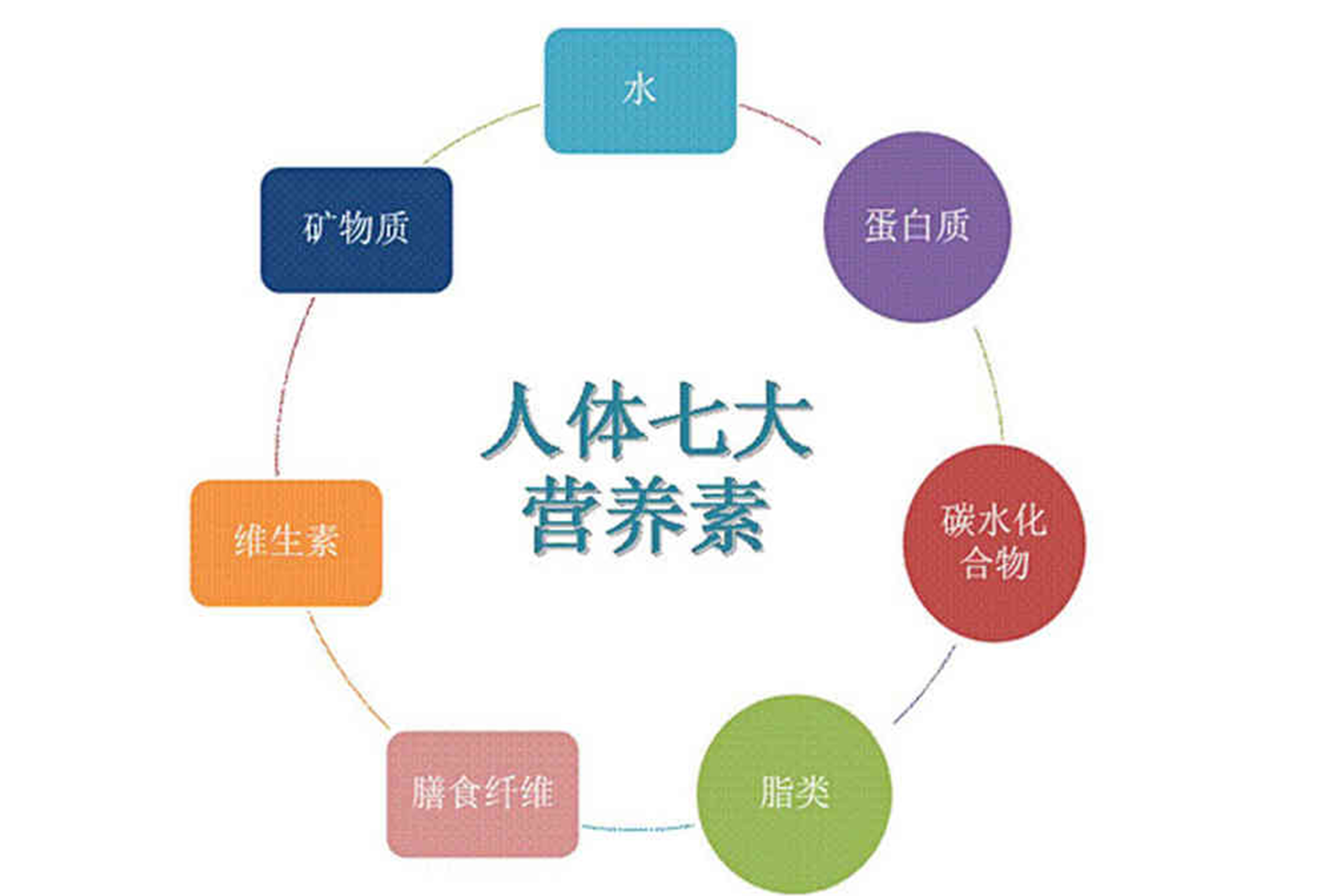 <b>細胞營養(yǎng)液功效作用？</b>